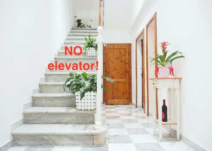 Eco Pisa Tower Guesthouse